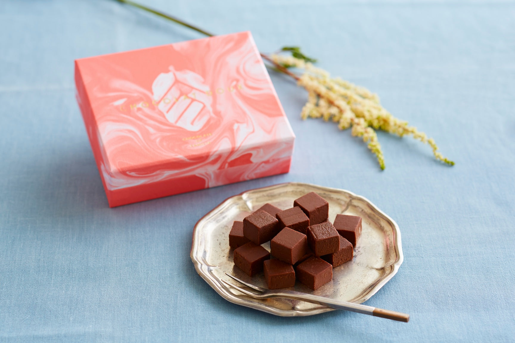 ショコラ・ダ・ファミリア - Chocolate de Familia 下北沢にある  