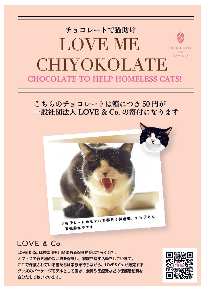 【チョコレートで社会貢献】カラフルショコラ ちよこ　 - ショコラ・ダ・ファミリア - Chocolate de Familia